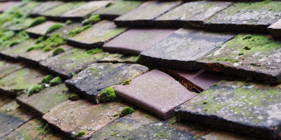 Keston roof repair costs
